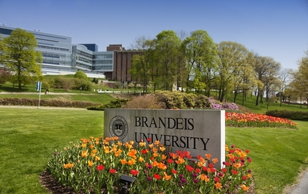布兰迪斯大学Brandeis University